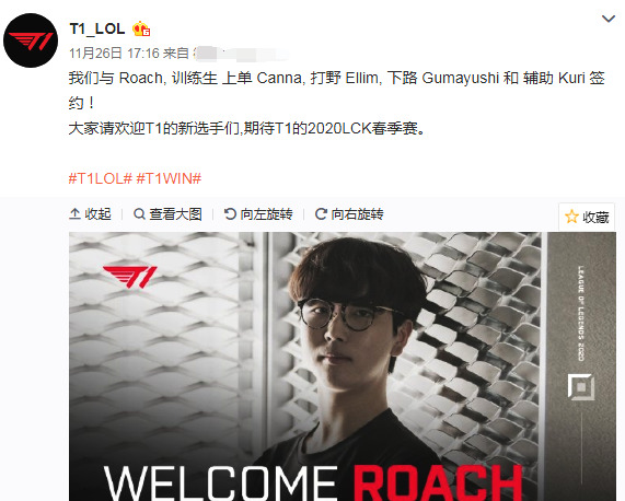 挥到极致的 挥到极致的