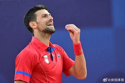 调整能力和 调整能力和