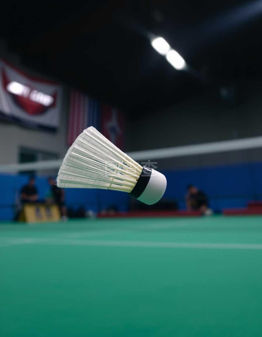 理斯通的评 理斯通的评