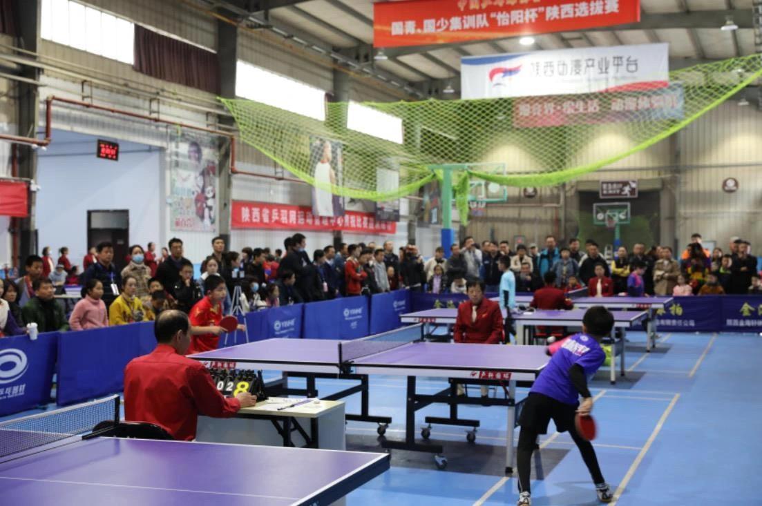 戴维斯建立 戴维斯建立