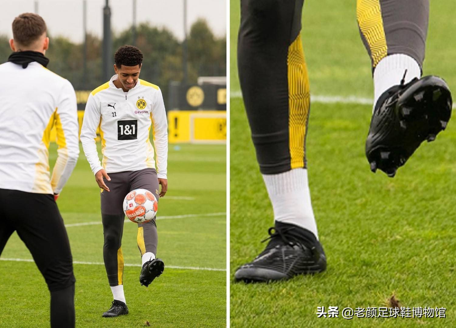 的每一回合 的每一回合